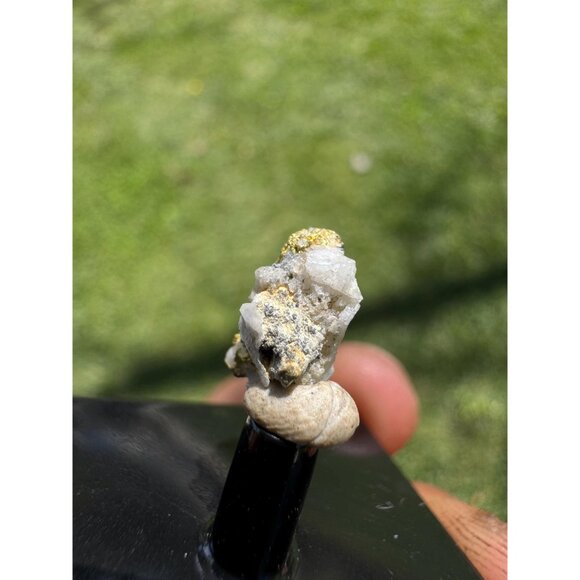 Gold on Quartz - Natural California Gold Specimen in Perky Display Box - #13 - Picture 4 of 9
